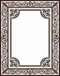 Ornate Scrollwork Border Pattern Rug