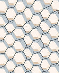 Pale Bone Hexagon Geometric Pattern Rug