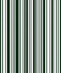 Dark Green White Vertical Stripe Rug