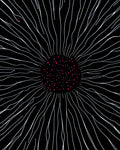 Radial Burst White Pink Dots Rug