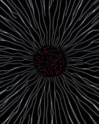 Radial Burst White Pink Dots Rug