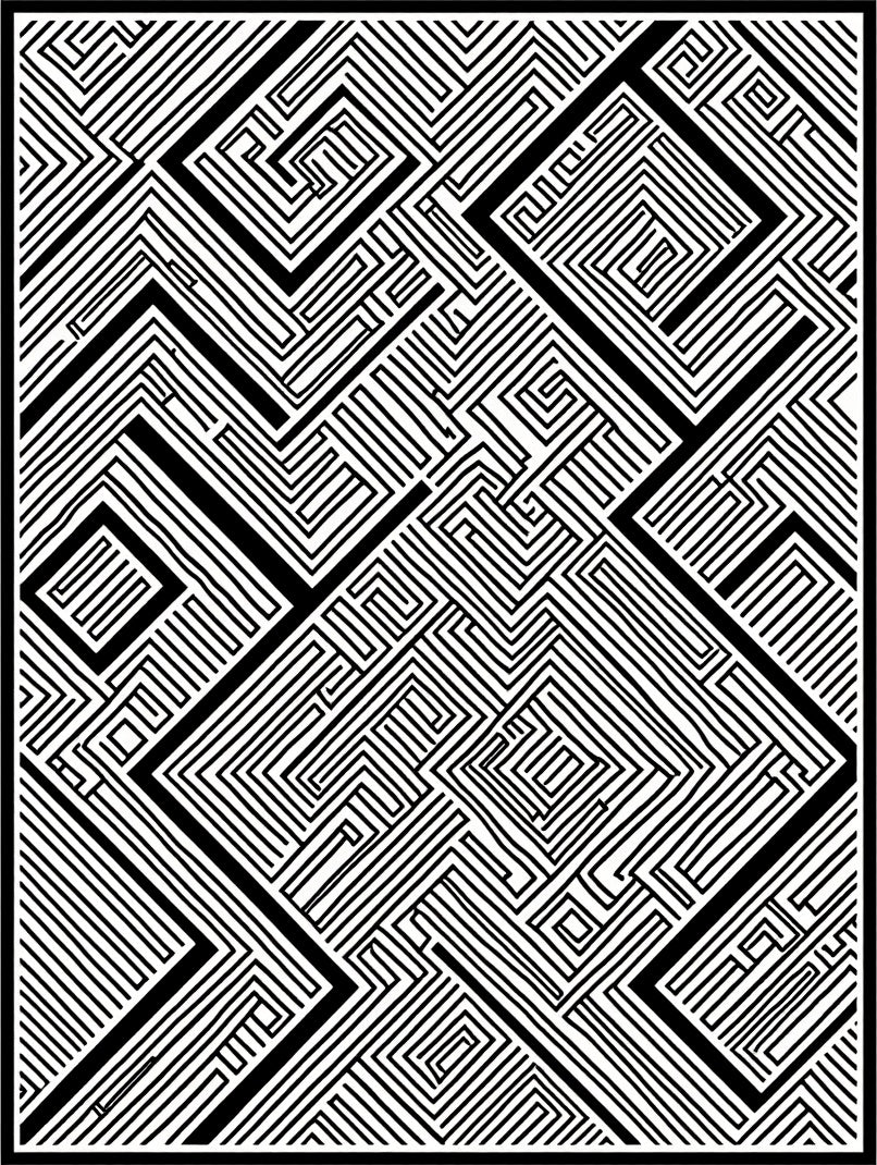 Graphic Maze Optical Illusion Rug