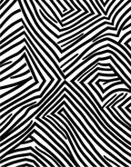 Bold Black White Geometric Stripes Rug