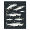 Monochrome Salmon School Dark Backdrop Rug