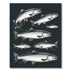 Monochrome Salmon School Dark Backdrop Rug