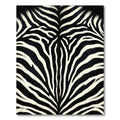 Black White Zebra Hide Rug