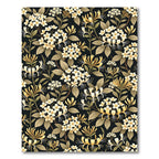 Elegance Cream Honeysuckle White Floral Black Rug
