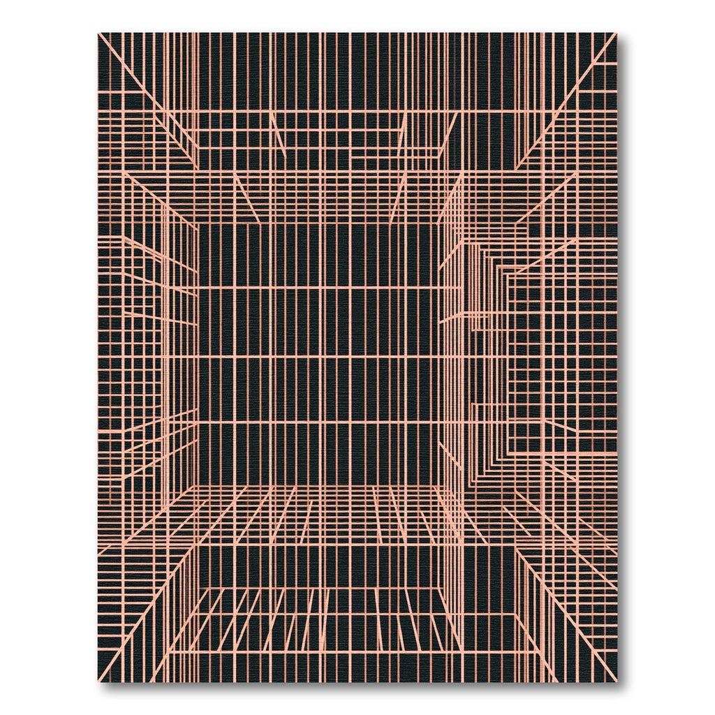 Salmon Lines Black Perspective Rug