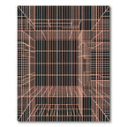 Salmon Lines Black Perspective Rug