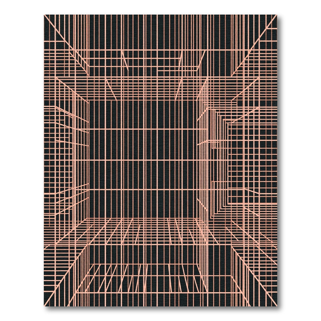 Salmon Lines Black Perspective Rug
