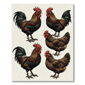 Rustic Farmhouse Brown Rooster Illustration Rug