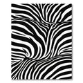 Bold Monochrome Zebra Wave Rug