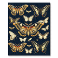 Whimsical Midnight Butterfly Entomology Illustration Rug