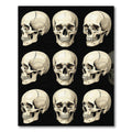 Monochrome Anatomical Skull Grid Illustration Rug