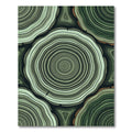 Forest Green Wood Grain Rings Rug