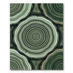 Forest Green Wood Grain Rings Rug